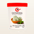 Giovanna Mint Stracciatella Gelato 1 pint container