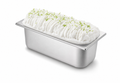 Giovanna Lime Sorbet 5L Pan Liner